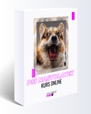 Psi Nastolatek Kurs Online
